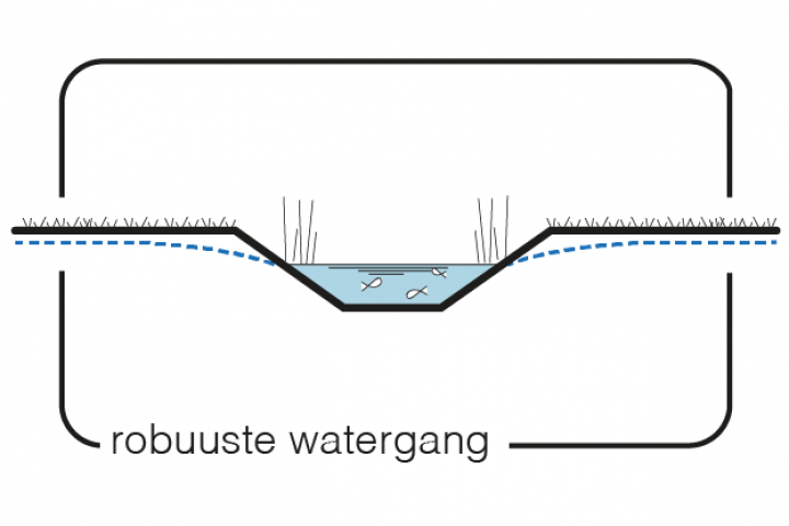 Maatregel 11 Robuuste watergang